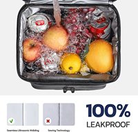 Sac à déjeuner isotherme pour femmes/hommes, sac à déjeuner isotherme étanche, sac à déjeuner pour le travail