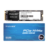 SSD NVMe M.2 Wicgtyp, Disco Rigido a Stato Solido da 512 GB per Laptop