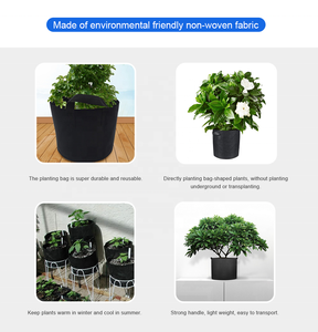 Plantas de jardín no tejidas, bolsas de cultivo negras, macetas de tela con asas - Product Image 4