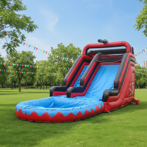 Fábrica China que Ofrece Toboganes Inflables de PVC de Grado Comercial con Piscina para Jardín - Product Image 1