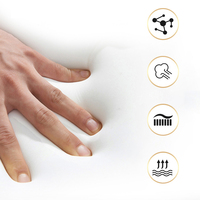 Matelas hybride hypoallergénique en mousse à mémoire de forme et ressorts ensachés de 14 pouces, taille king