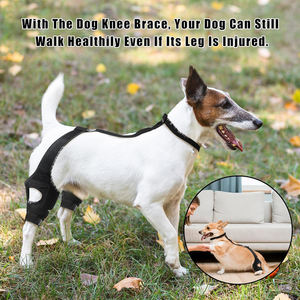 Dog Knee Brace for Torn Acl Hind Legs Protector Pet Dog Leg Braces for Back Leg Hip Joint Support Lick Sleeve Dog Knee Brace - Product Image 2