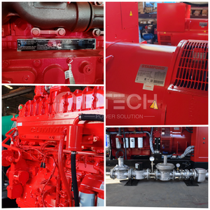 Générateurs électriques silencieux insonorisés <span class=keywords><strong>au</strong></span> <span class=keywords><strong>gaz</strong></span> naturel Ritech Manufacturer Cummins Weichai 200kW 250kW 300kW 500kW - Product Image 3