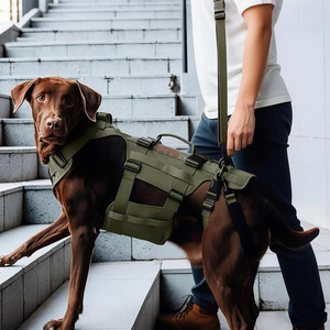 Harnais de levage pour chien, pour chiens âgés ou handicapés, soutien de la hanche, gilet de levage, sangle réglable, aide à la marche pour animaux de compagnie - Product Image 4