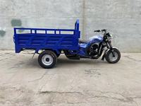Tricycle Moto Robuste à 3 Roues pour Fret et Dockers, Moteur Essence 150CC 200CC 250CC