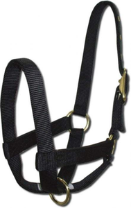 Licol pour cheval à motif équestre COB en PVC synthétique, licol de course pour cheval, personnalisable - Product Image 2