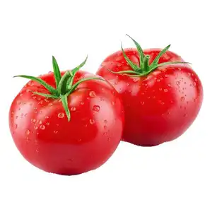 Pincredit直販天然有機トマトエキスリコピン10% パウダー