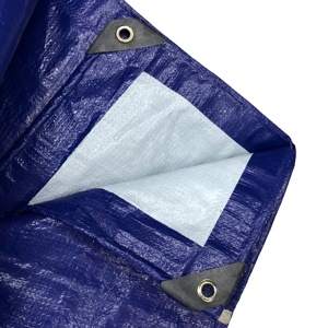 Feuilles <span class=keywords><strong>de</strong></span> bâche en plastique <span class=keywords><strong>de</strong></span> bonne qualité, bâche à rouler, vente en gros, couvertures <span class=keywords><strong>de</strong></span> <span class=keywords><strong>camion</strong></span>, bâche en plastique - Product Image 3