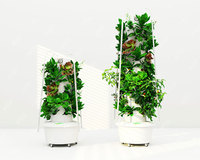 Torre de Cultivo Vertical Hidropónica Pequeña para el Hogar o Apartamento, Cultiva Lechuga, Fresas, Tomates