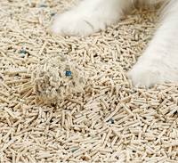 Litière pour chat en tofu absorbante et parfumée de bonne qualité pour chatons de petite taille, type sain