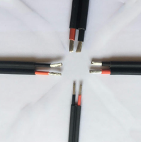 Kabel Tenaga Surya Fleksibel Tembaga Berlapis Timah PV1-F XLPO H1Z2Z2-K untuk Konstruksi Sistem Tenaga Surya dan Pengkabelan Industri