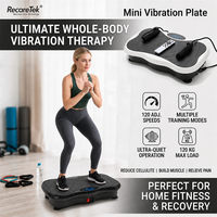 Equipo de Ejercicio Funcional, Plataforma Vibratoria, Equipo de Fitness, Tabla Multifuncional, Plataforma Inteligente, Equipo de Terapia
