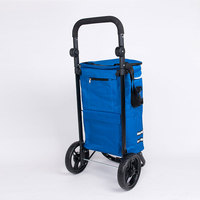 Sac de courses pour grand-mère de 47 l, chariot de courses pliable pour légumes, chariot de courses en gros