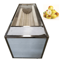 Gember Dadelpalm Kleine Tomatenpruim Appel Scrub Reinigingsmachine