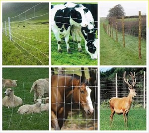 Galvanized Iron Wire <b>Fence</b> Mesh for Livestock Enclosures Cattle and Deer Farming Customizable Square Hole and Wire Gauge - Product Image 6