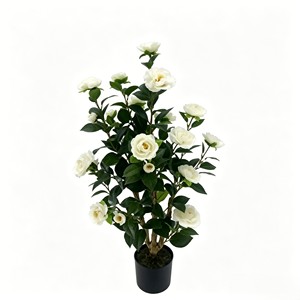 Camélia blanc neige élégant et délicat, aux pétales volumineux et superposés, idéal pour la décoration de banquets, les vitrines, les chambres et les jardins. - Product Image 1