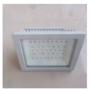 Lámpara de Calle LED a Prueba de Explosiones de 100W 30V para Áreas Industriales Nema 4X T4 con 5 Años de Garantía - Product Image 1