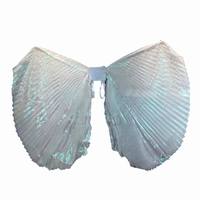Costume d'ailes d'ange scintillantes iridescentes pour femmes adultes, à fort impact, pour la danse du ventre, utilisation sur scène, en polyester