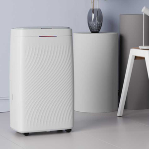 Déshumidificateur à compresseur 20L avec filtre à air lavable et purificateur d'air, fabriqué en Chine - Product Image 4