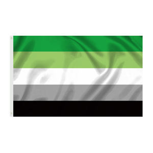 Progress Pride Rainbow Flag 3x5 Bisexual LGBTQ Lesbiana Gay Transgénero Pride Banderas homosexuales - Product Image 4