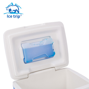 Réfrigérateur Portable <span class=keywords><strong>de</strong></span> voiture 8l, glacière pour véhicule, pour boisson, bière, nourriture, mode <span class=keywords><strong>de</strong></span> Camping, <span class=keywords><strong>sac</strong></span> thermique <span class=keywords><strong>de</strong></span> stockage - Product Image 5