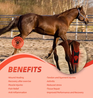 Soulagement de la douleur Lumière rouge de thérapie de cheval 660nm 850nm Ceinture de thérapie de lumière infrarouge rouge Blessure de cheval Thérapie par la lumière pour animaux de compagnie Soins aux animaux