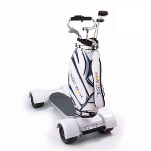 Túi Golf Xách Tay Xe tay ga giải pháp di động điện cho người lớn trong khóa học - Product Image 5