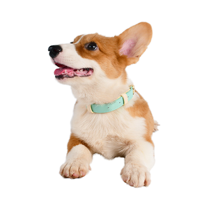 Kerah anjing kulit untuk anjing kecil sedang besar dapat disesuaikan lembut antilembap kerah anak anjing dengan gesper Aloi - Product Image 5