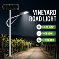 Lampe solaire à LED 100W pour quai, étanche IP66, avec bras métallique stable, LED SMD5054, pour éclairage de marina, quai, lac, bord de mer, allée, route