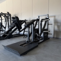 Máquina de remo Iso-Lateral con carga de placas para entrenamiento de espalda, equipo comercial para fortalecimiento de la espalda