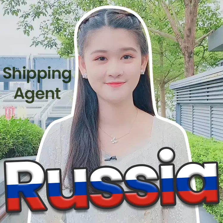 Amazon FBA FCL LCL DDP DDU Tür zu Tür Guangzhou Liefer service Spediteur Seeschiff fahrt sagent nach Russland aus China