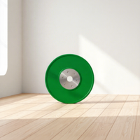 Plaques de poids en caoutchouc pour compétition de gym avec logo personnalisable, plaques de poids interchangeables 10-55LB, poids de barre en acier moulé 5-25KG, capacité 20KG