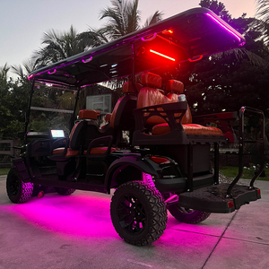 יוקרה 6-seater 48v חשמלי מחוץ לכביש buggy 48v חשמלי עגלת גולף עבור ציד - Product Image 4