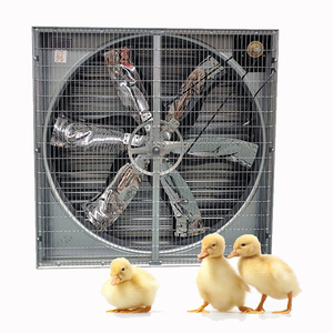 Ventiladores <span class=keywords><strong>de</strong></span> extracción push-pull para granjas avícolas y sistemas <span class=keywords><strong>de</strong></span> ventilación <span class=keywords><strong>de</strong></span> invernaderos a <span class=keywords><strong>precio</strong></span> <span class=keywords><strong>de</strong></span> fábrica - Product Image 3