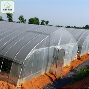 Irrigação Estufa Sistema Crescente Agricultura Singlespan HighTunnel <span class=keywords><strong>Greenhouse</strong></span>