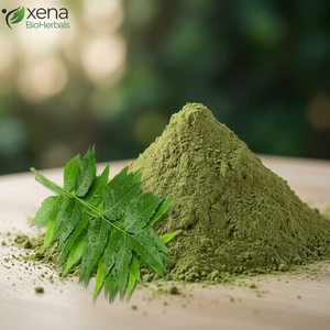 Extrait de feuilles de Neem en poudre, fabricant d'extrait de Neem naturel en poudre, fournisseur en gros - Product Image 1