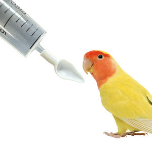 थोक पर्यावरण के अनुकूल पक्षी तोता फीडर चम्मच मैनुअल सिरिंज शिशु पक्षी जल चिकित्सा सुई की आपूर्ति - Product Image 1