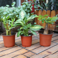 Grandes jardinières d'extérieur 1 3 5 6 7 10 15 gallons pouces jardinière en plastique pots de jardinière de pépinière avec drainage