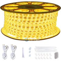 100m led rvb ip65 wifi télécommande DMX crismas étanche flexible DMX 110V 220V RGB bande lumineuse