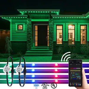 Led Pixel Light Controller Luces Decoración de Navidad al aire libre Ucs2904 12V Ip68 Rgbw Pixel Module Light