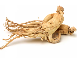 Profesyonel üretici 0.8% Eleutheroside organik sibirya Ginseng özü tozu bitki özü - Product Image 3