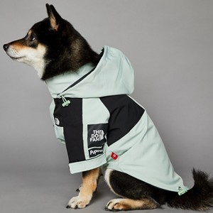 Chubasquero de perro grande de moda <span class=keywords><strong>North</strong></span> <span class=keywords><strong>Face</strong></span> 2025, chaqueta de invierno para mascotas, diseño de bandera americana, poliéster duradero clásico de verano a prueba de viento - Product Image 2
