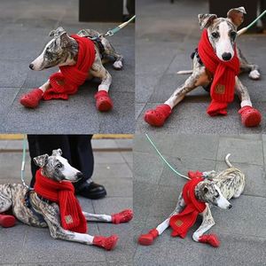 Nouvelles chaussures souples pour chien pour pavés chauds, bottes respirantes pour chien, protection des pattes avec sangles, semelle antidérapante en silicone, chaussures pour chiot design - Product Image 3