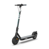 Trottinette électrique partagée avec GPS, 100 kg, pliable, batterie amovible, suspension intégrale, vente en gros OEM