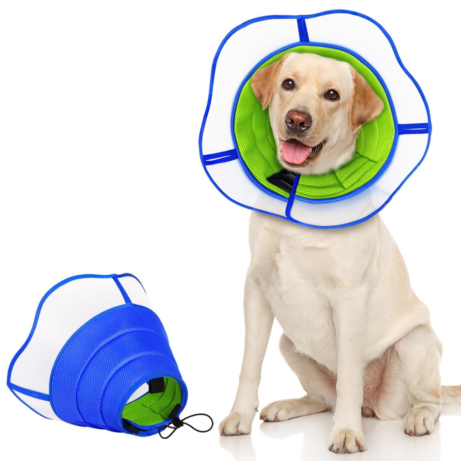 สีฟ้า-เขียว