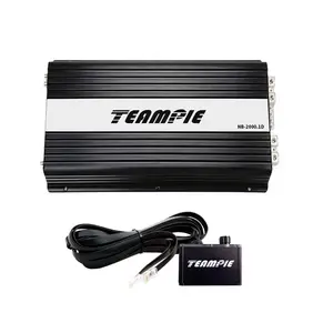 Teampie Silver Piece Amplifiers TP-2000.1D Aluminum Plate Amplifier Wired Remote Control Amp