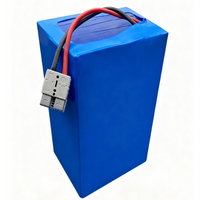 Batterie intelligente 48V pour AGV de manutention, pour l'entretien des voies à basse et haute température, avec 3000 cycles de charge
