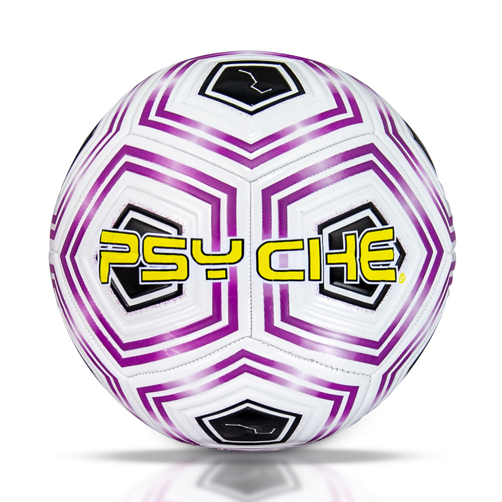 จักรเย็บผ้าพีวีซี รุ่น F5039