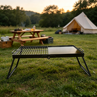 Grille de camping pliable de 24 pouces en acier robuste avec grille en maille, portable et pliable avec pieds et sac de transport