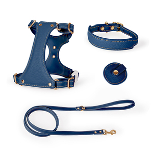 Tùy Chỉnh Airtag Con Chó Khai Thác Và Dây Xích Thiết Lập Cá Nhân Thiết Kế Sang Trọng Không Thấm Nước Vegan Da Vật Nuôi Cổ Áo Ngực Phụ Kiện - Product Image 4